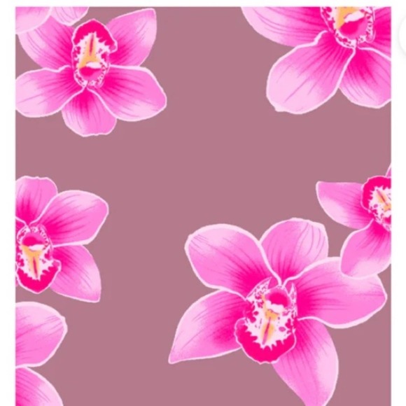 NWT Acacia Mateo bikini bottom in Gili, L - Picture 4 of 6